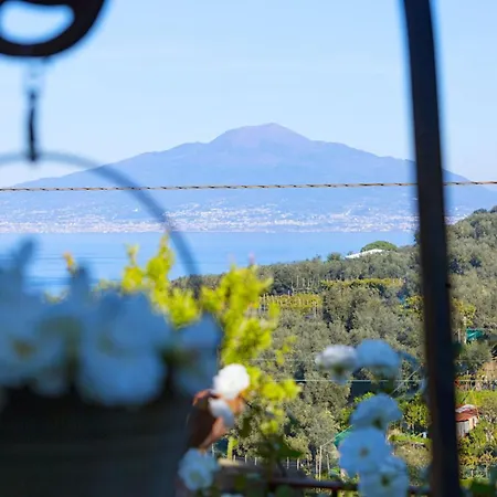 Amore - Casa Casarlano 11 * Sorrento